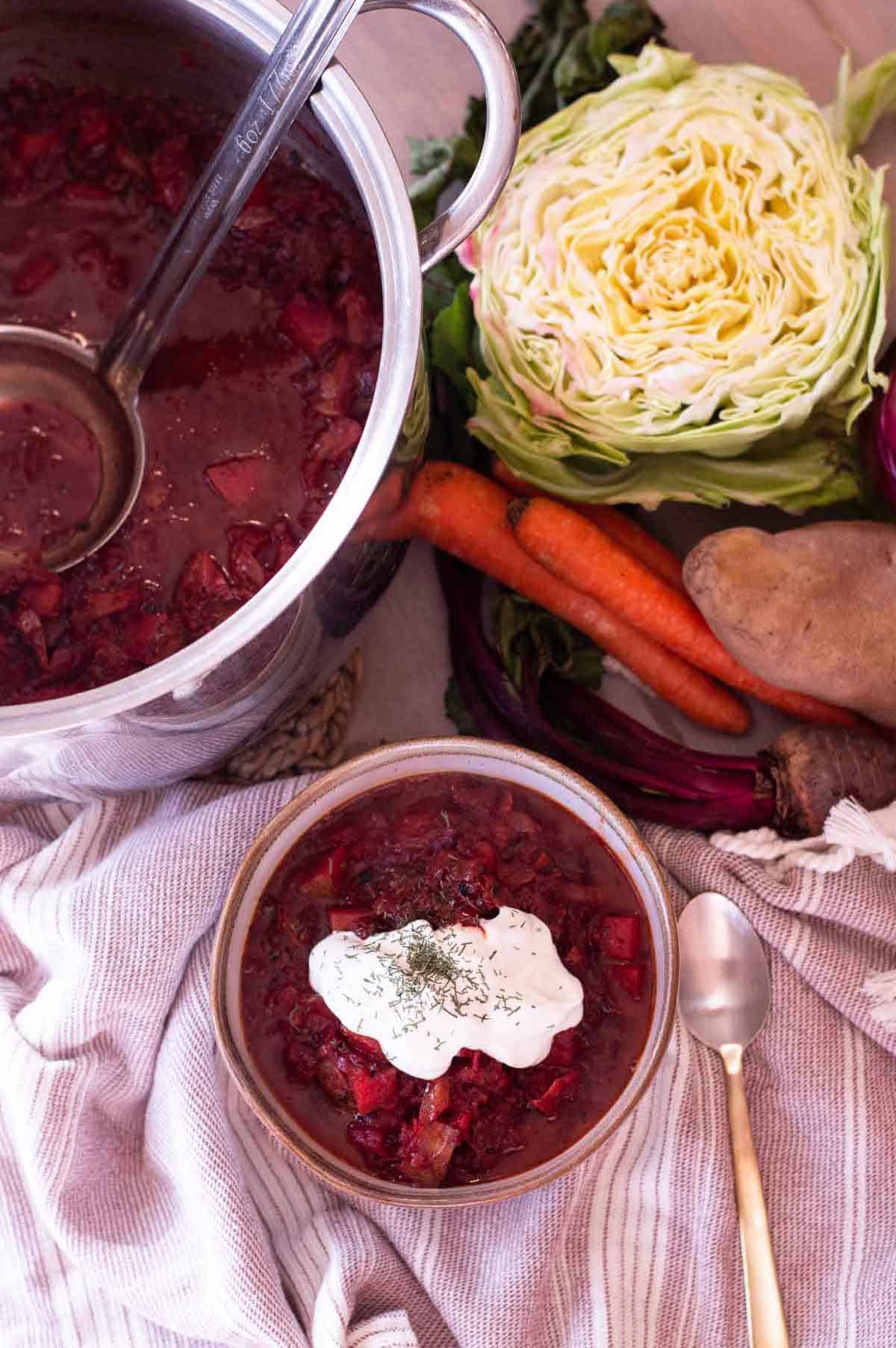 Ukrainian Borscht in a bowl