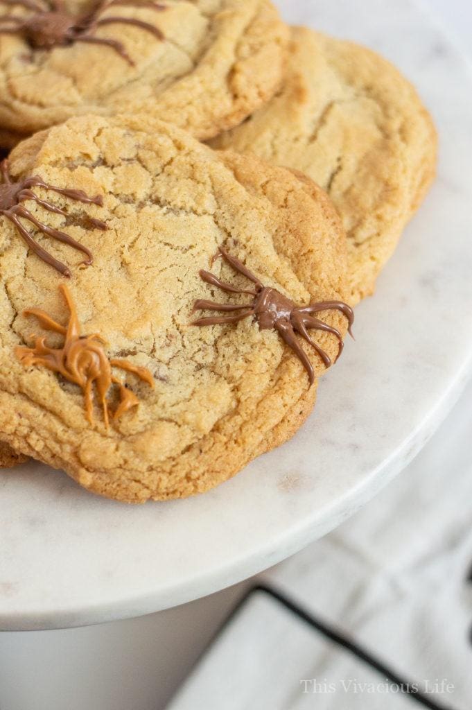 Up close of a spider cookie with chocolate chips