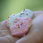 Gluten-Free Frosted Animal Crackers