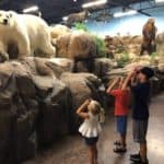 Kids Summer Activities at the indoor wildlife park