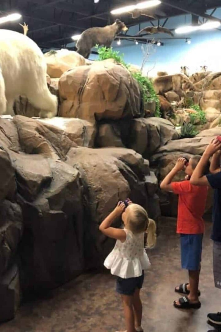Kids Summer Activities at the indoor wildlife park
