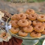 Pumpkin Spice Donuts Gluten-Free