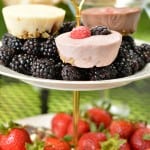 Easy frozen yogurt "muffins" that are gluten-free and make breakfast a breeze! They are also great for your next pilates party. www.glutenfreefrenzy.com