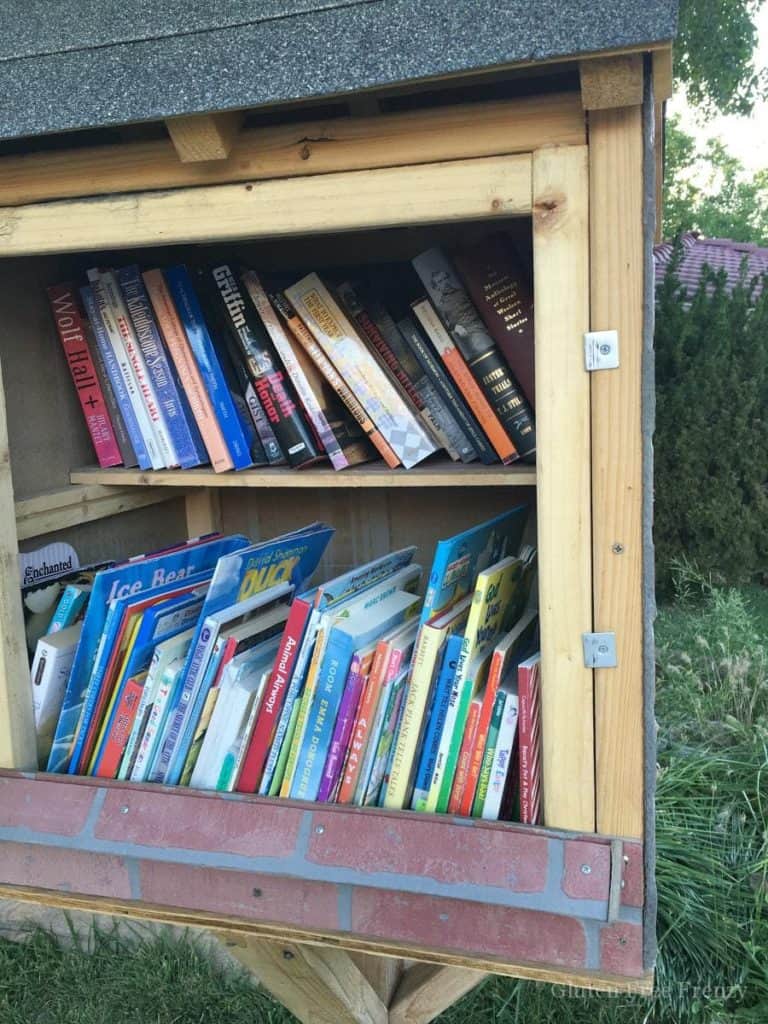 This DIY little library is so cute and totally promotes childhood literacy in neighborhoods. Get measurements and more on how to build your own little lending library. || This Vivacious Life #lendinglibrary #literary #reading #summerfun