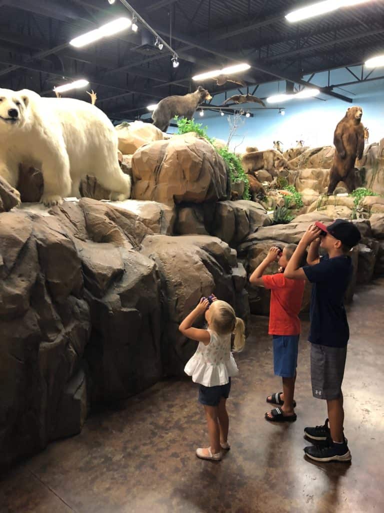 Kids using binoculars at a museum 