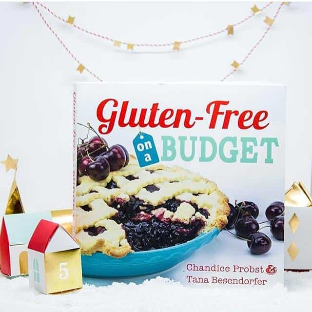 Gluten-Free on a Budget cookbook