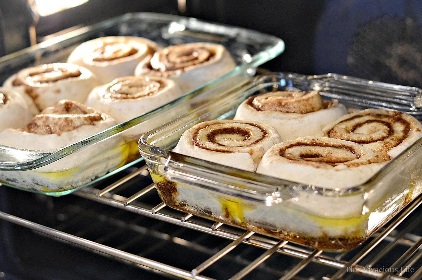 Two glass pans filled with gluten-free cinnamon rolls, rising in the oven. 