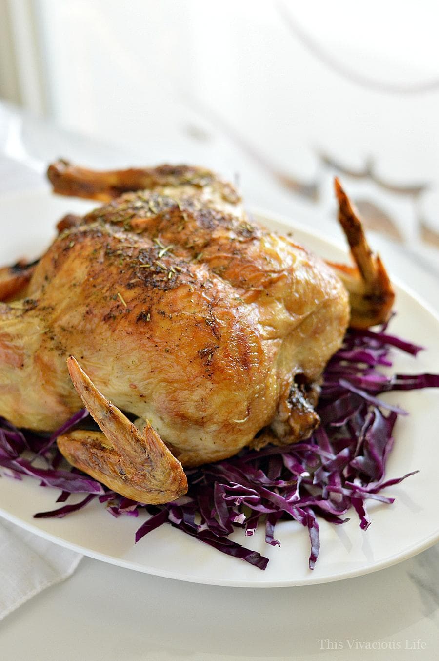 Dutch oven roast chicken on a bed of red cabbage