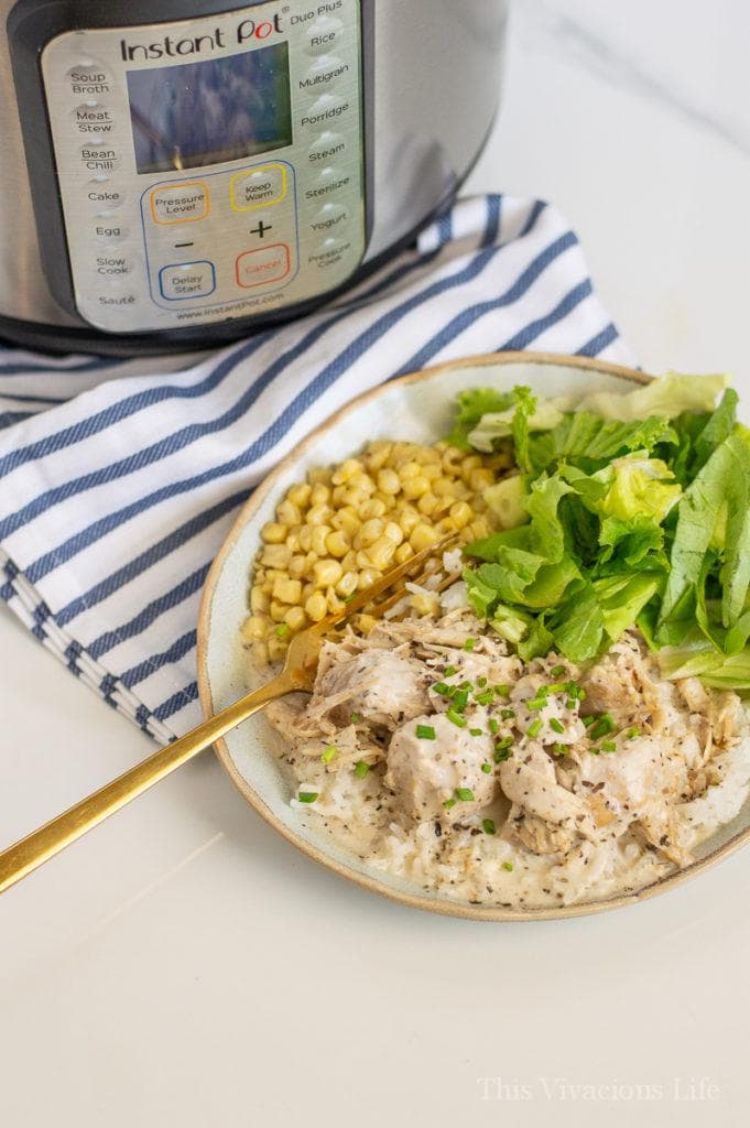 Chicken, rice, corn and salad on a plate by an Instant Pot