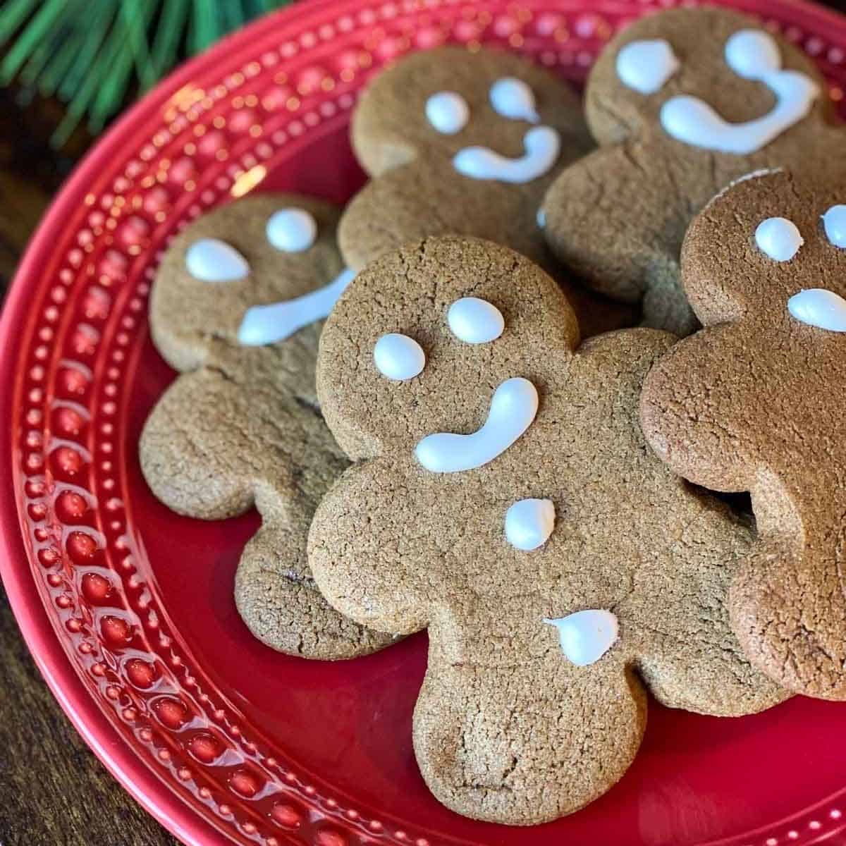 Gluten Free Gingerbread on a red plate