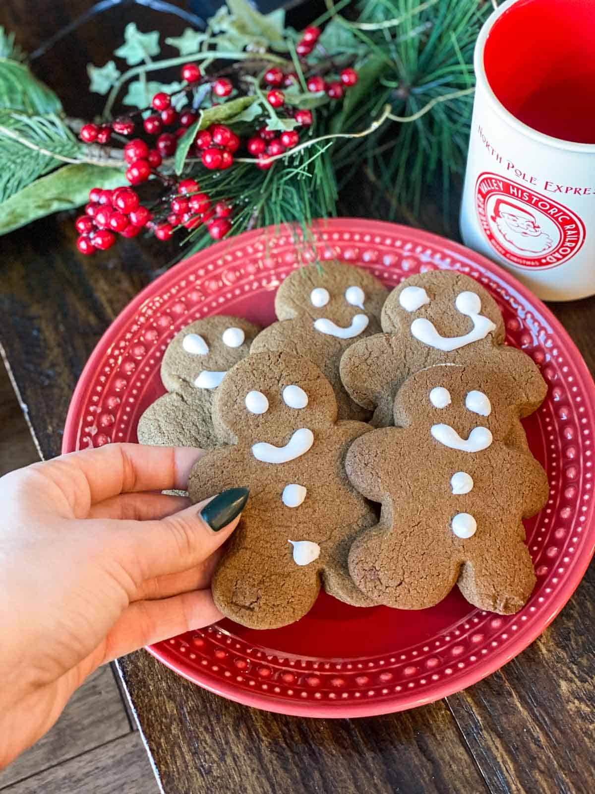 Gluten Free Gingerbread on a red plate