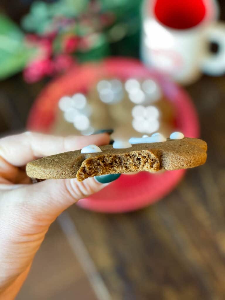 Gluten Free Gingerbread on a red plate