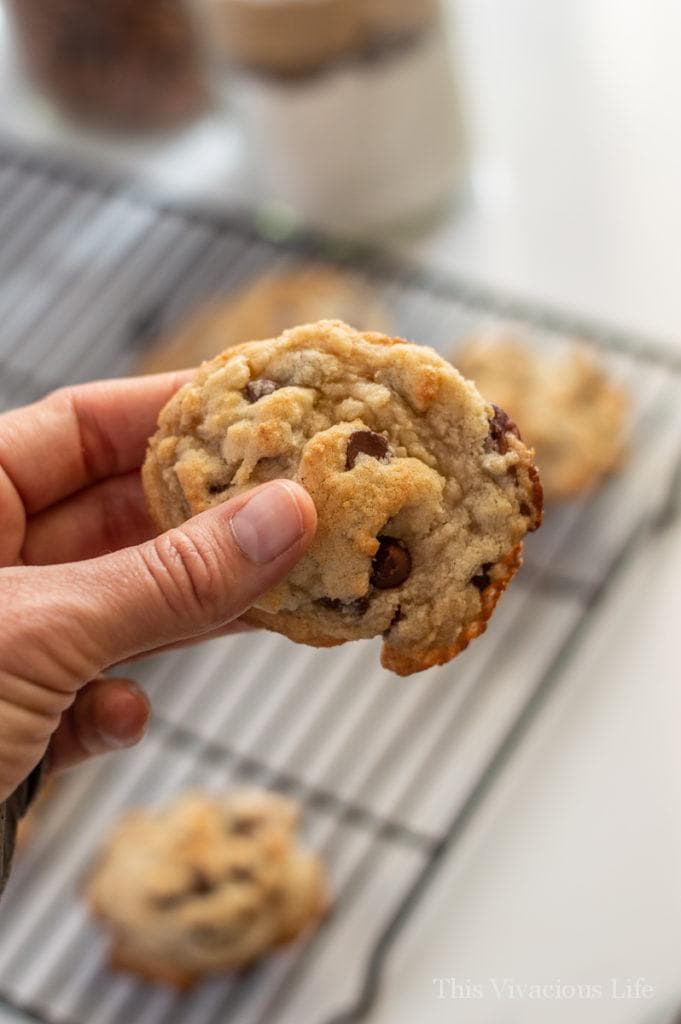 Hand holding a gluten-free chocolate chip cookie