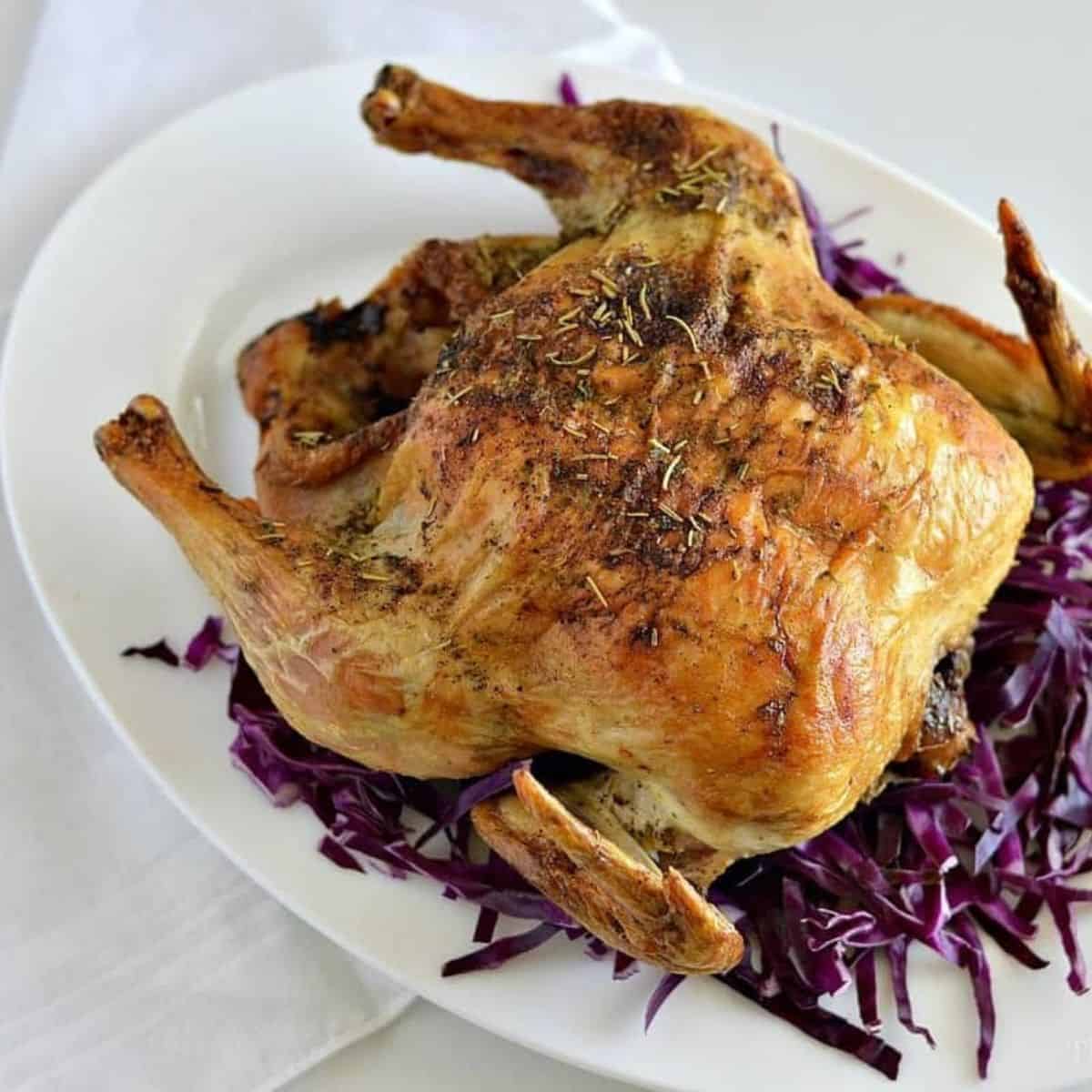 https://www.thisvivaciouslife.com/wp-content/uploads/2017/12/Dutch-Oven-Whole-Chicken-square.jpg