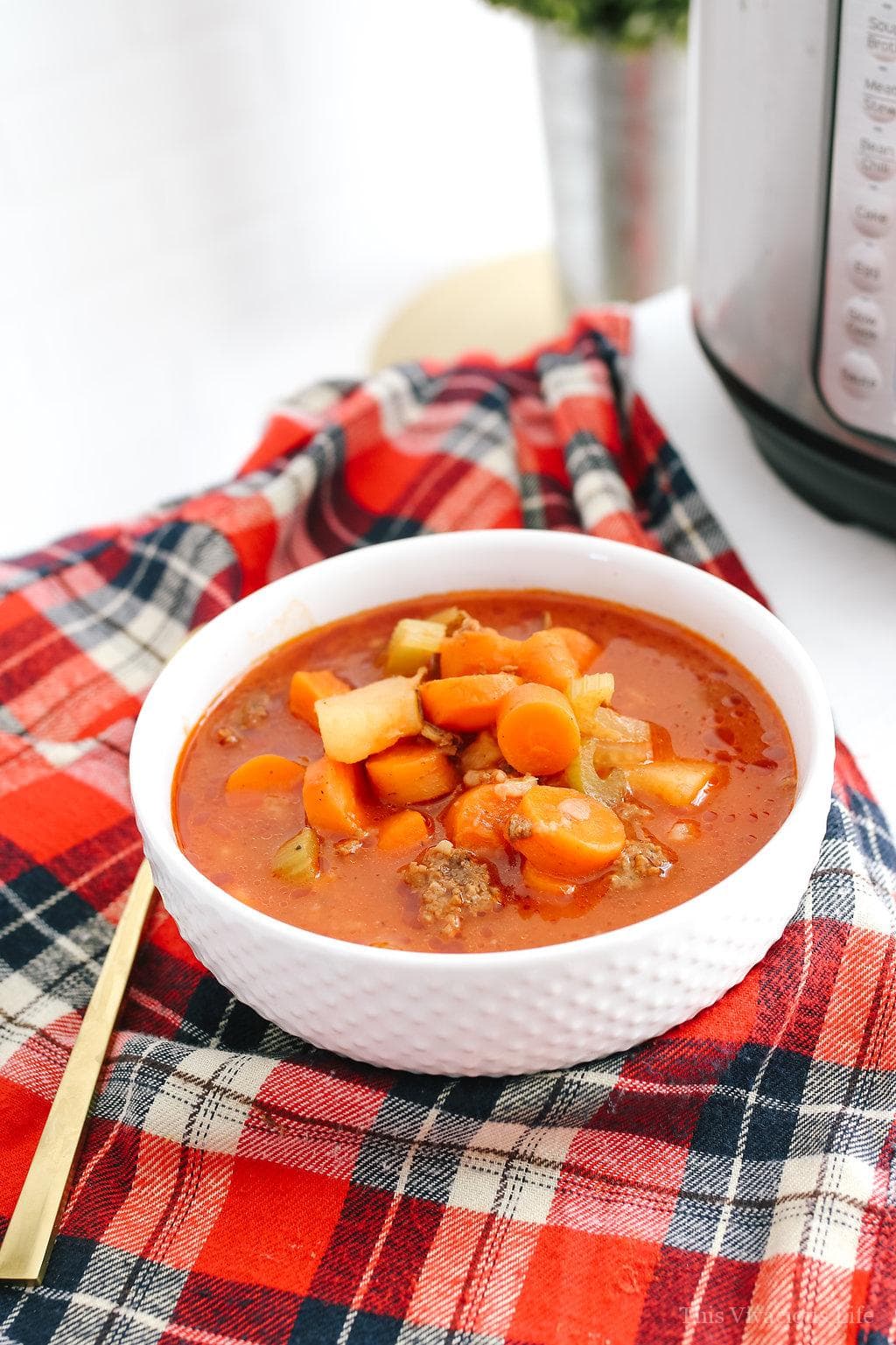 Instant Pot Hamburger Soup {easy & budget friendly!}