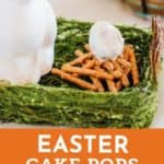Easter Cake Pops 5+ Ideas & White House Easter Party pin