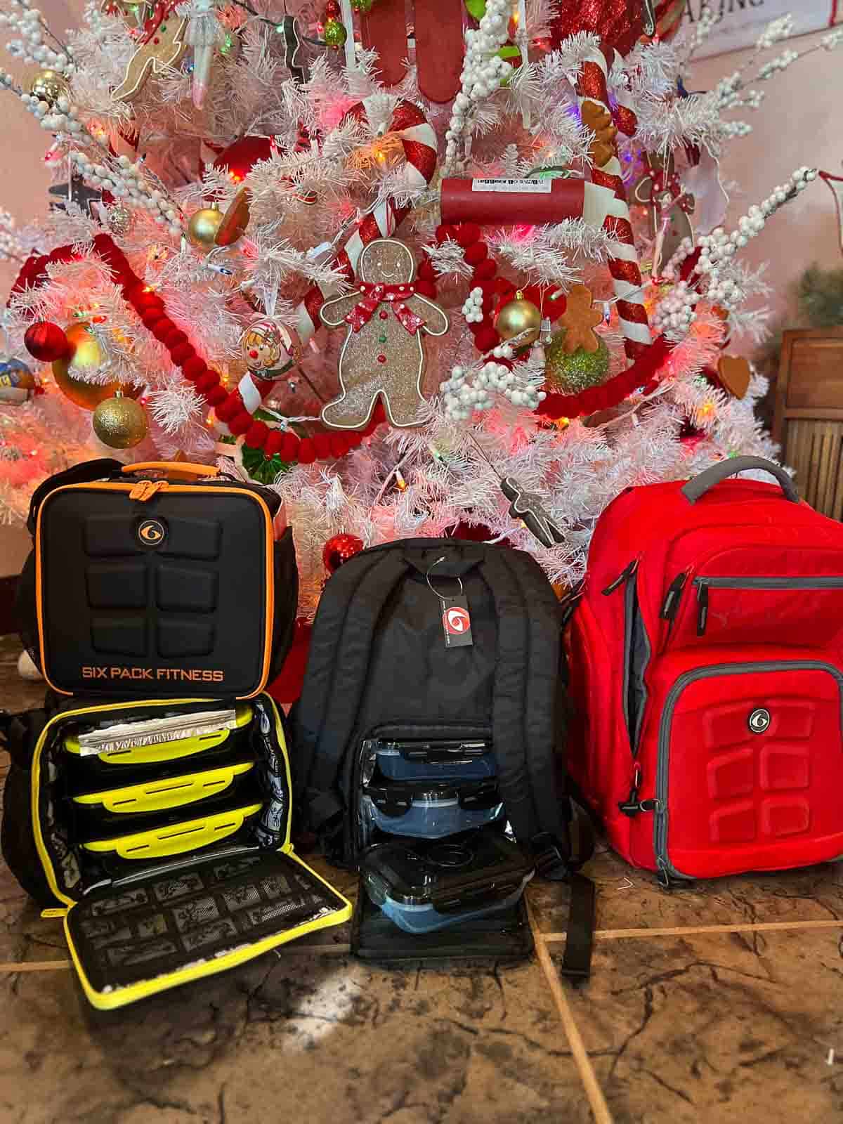 6 Pack Bags near Christmas tree