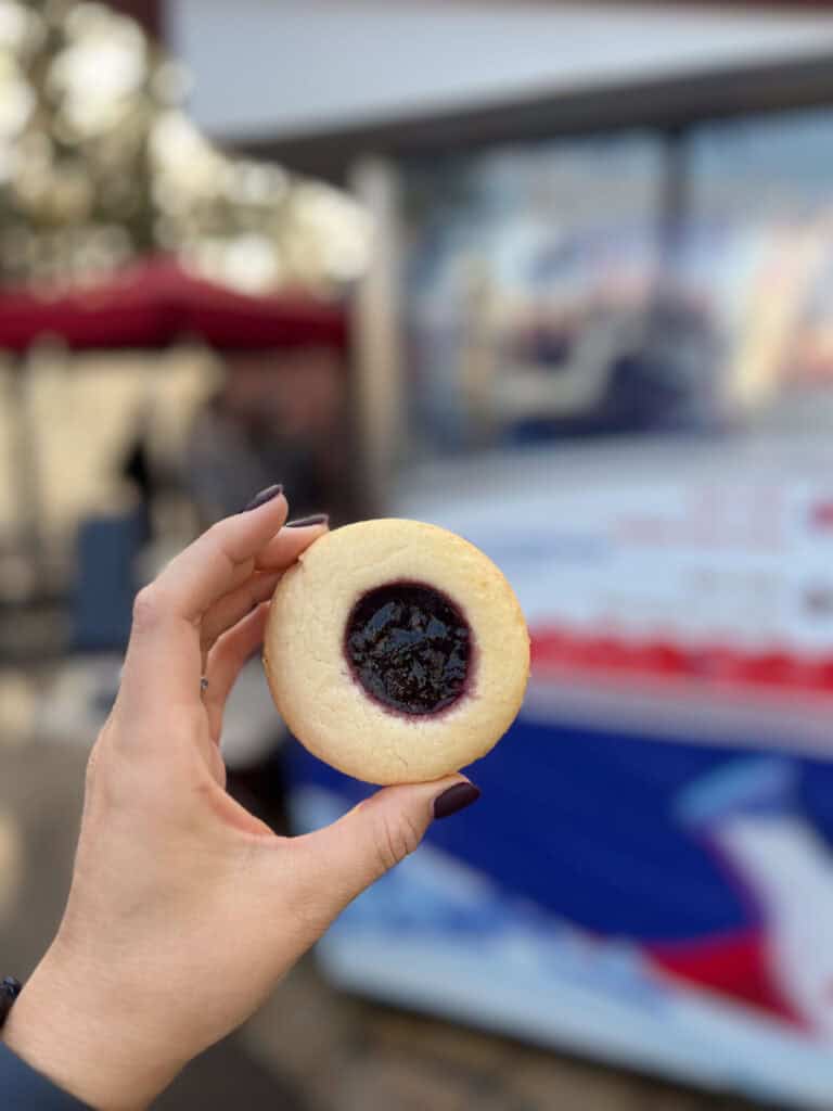 Disneyland California Adventure gluten free cookie