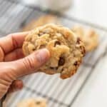Gluten Free Chocolate Chip Cookies in a hand