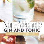 Non-Alcoholic Gin and Tonic pin