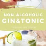 Non-Alcoholic Gin and Tonic pin