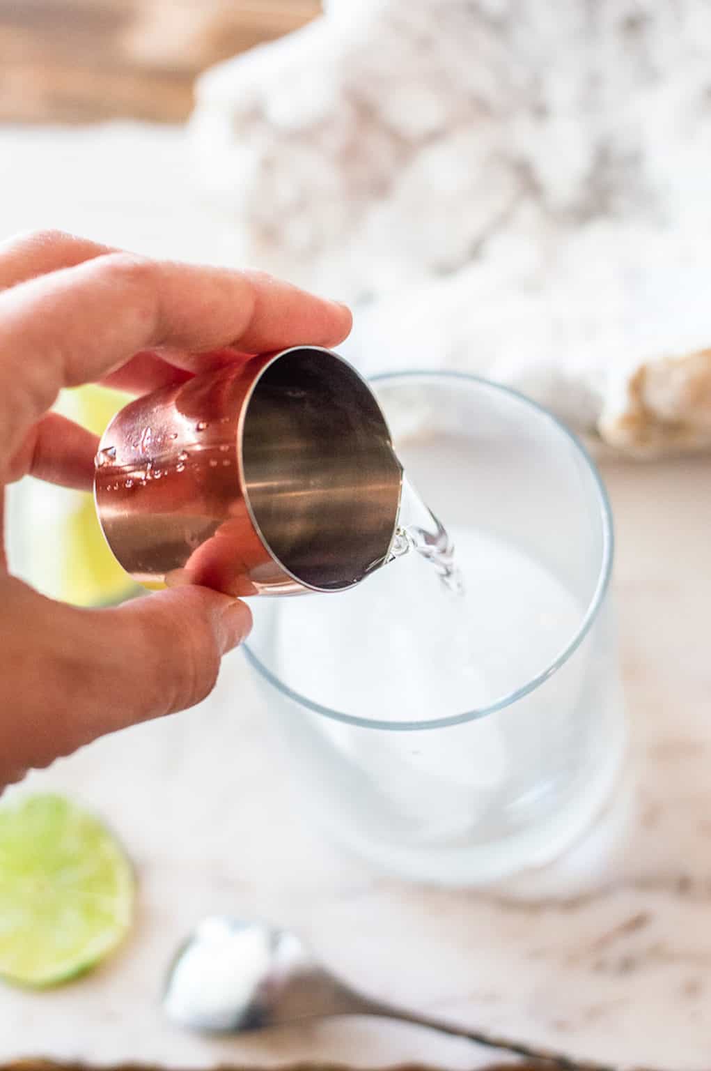 NonAlcoholic Gin and Tonic Recipe This Vivacious Life