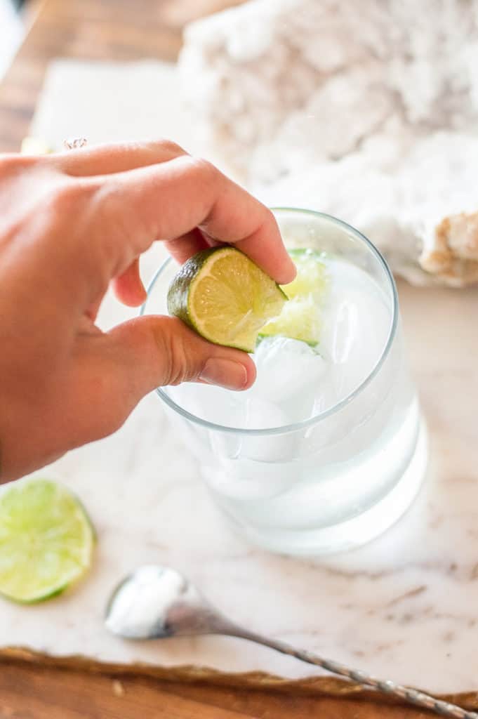 NonAlcoholic Gin and Tonic Recipe This Vivacious Life