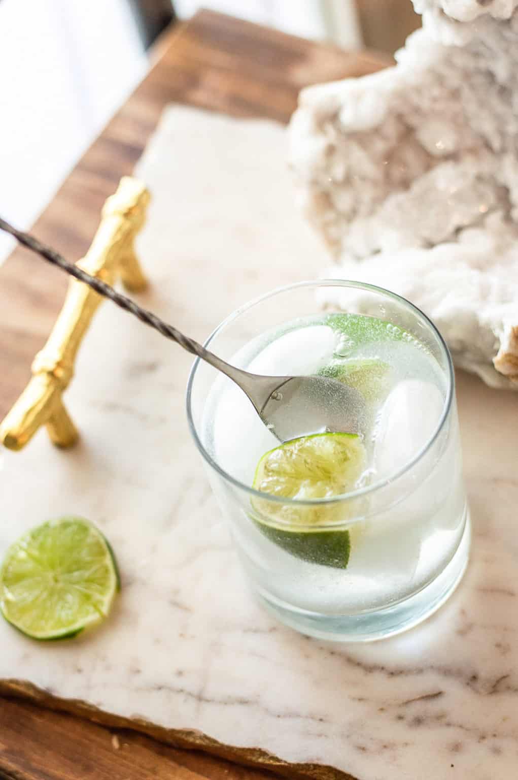 NonAlcoholic Gin and Tonic Recipe This Vivacious Life