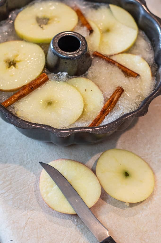 Apple rings and cinnamon sticks in a jello mold 