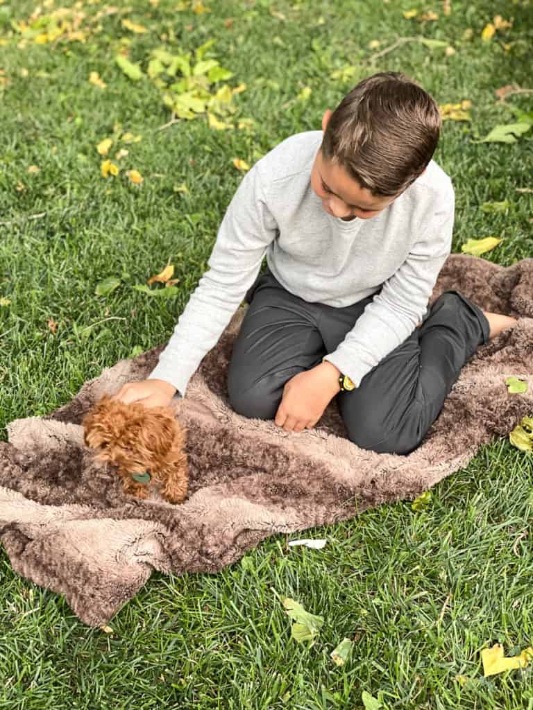 Boy on the grass with puppy on fur blanket