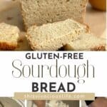 Gluten-Free Sourdough Bread (Honey Whole Grain) pin
