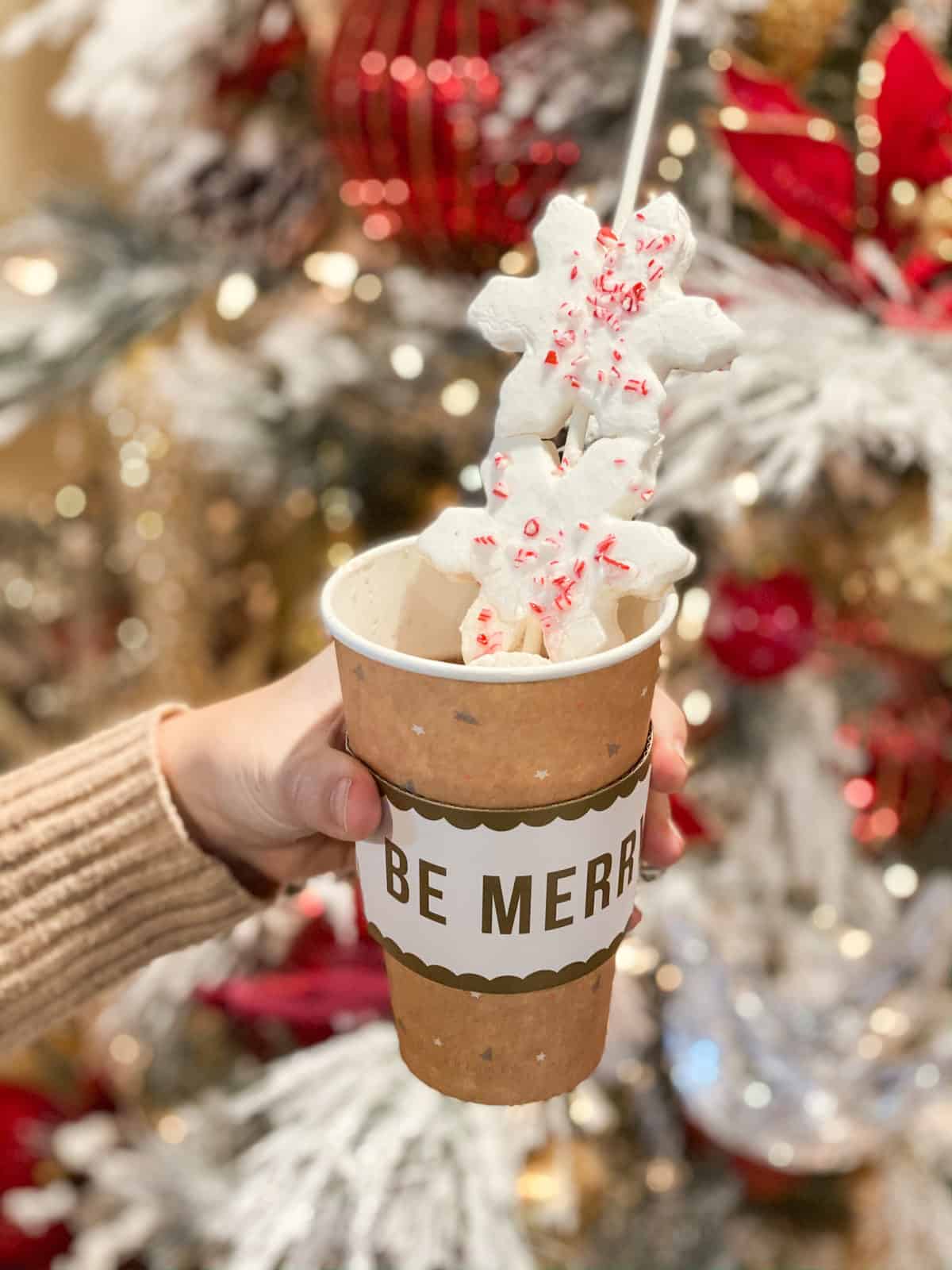 Cute Ways To Decorate Hot Chocolate Station  Christmas hot chocolate  station, Hot beverage station, Hot chocolate