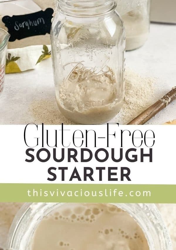 Gluten-Free Sourdough Starter