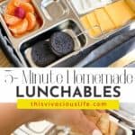 homemade lunchable pin