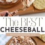 BEST Cheeseball Ever! pin