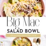 Bi Mac Salad Bowl Pin