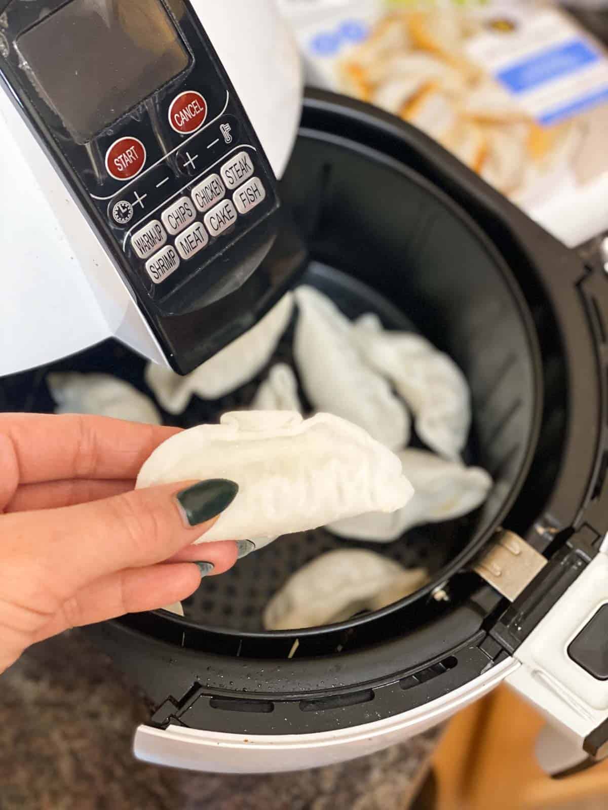 Hand placing the frozen potsticker in the air fryer