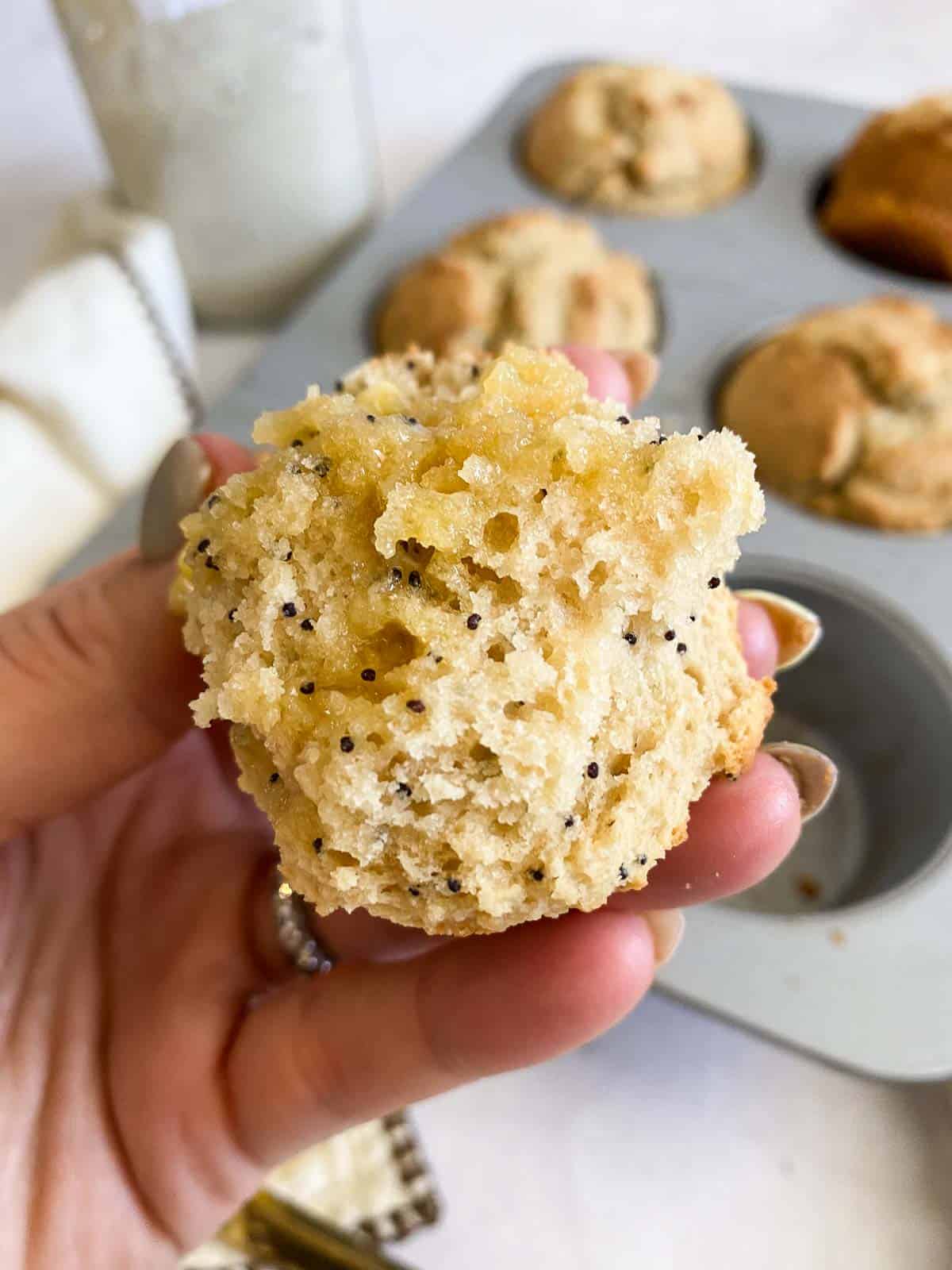 inside of sourdough muffin