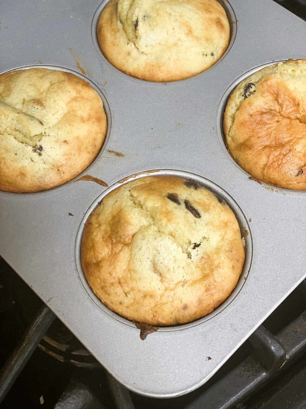 protein muffins in muffin tin