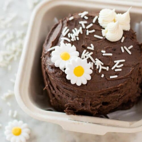 Bento Cake with chocolate frosting