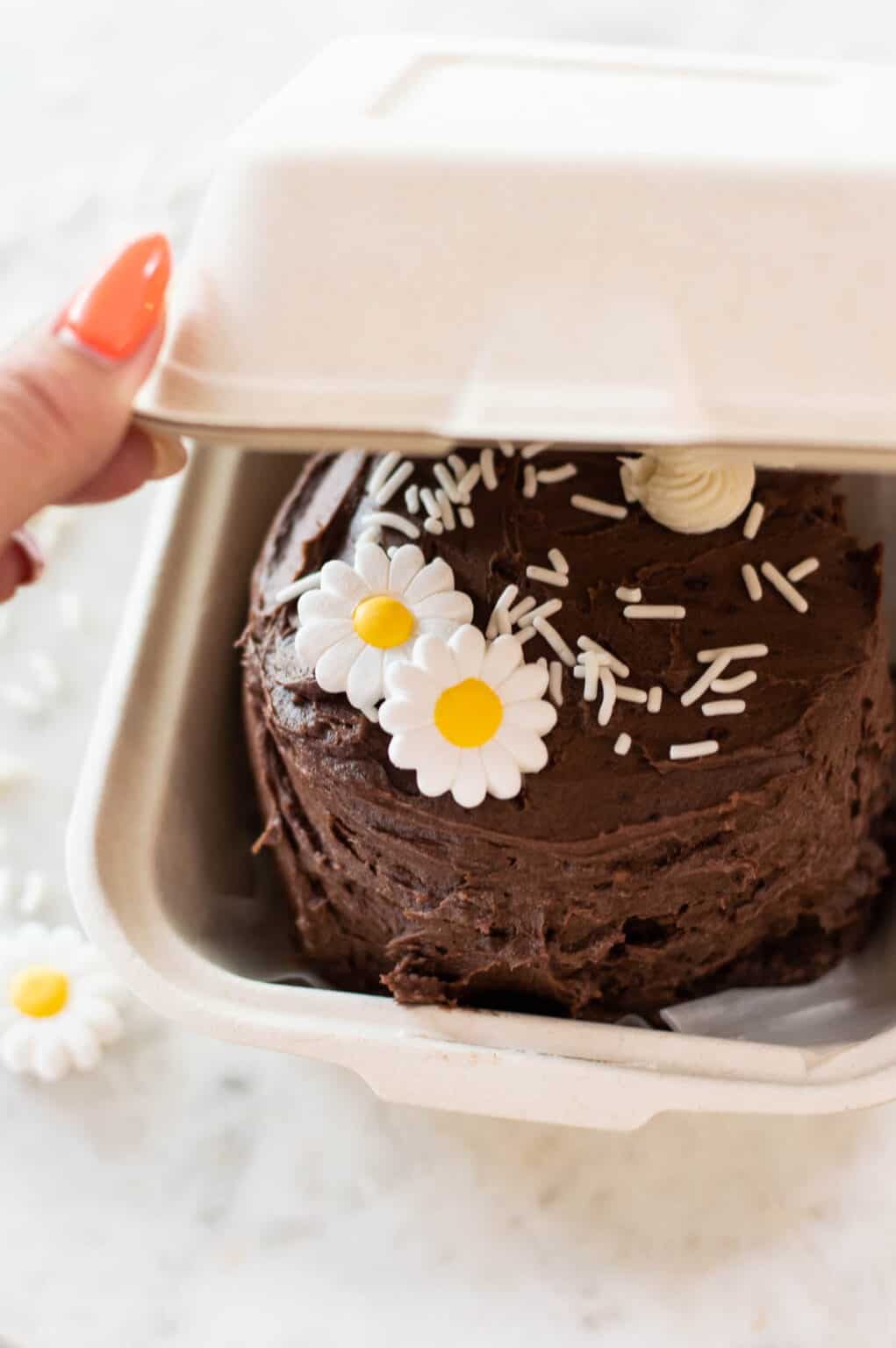 Celebrate Father's Day with Bento Cake!