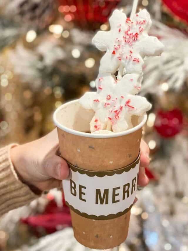 Hot Cocoa Bar with hand of cocoa and snowflake marshmallows