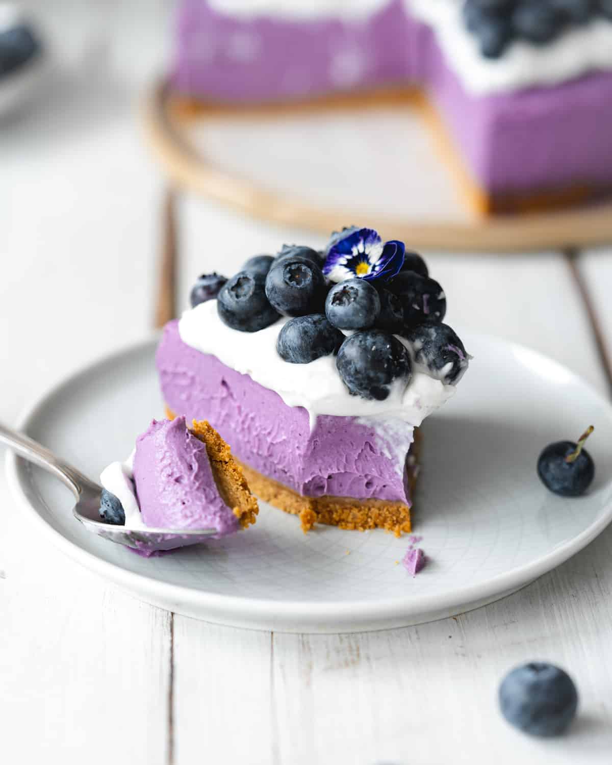 Vegan blueberry Cheesecake