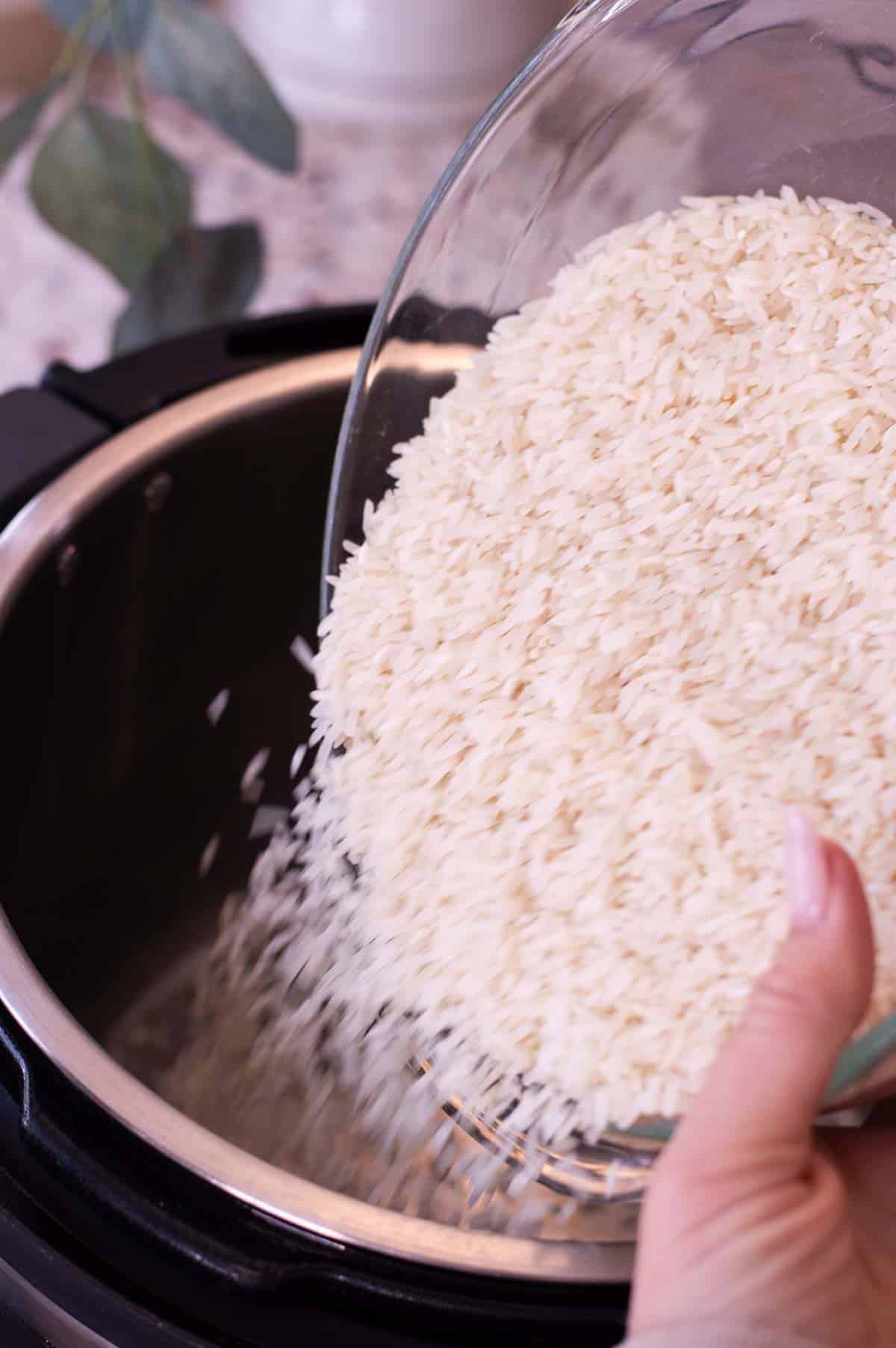 rice going into the instant pot