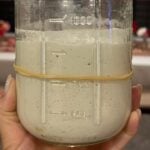 brown rice gluten free sourdough starter in a jar