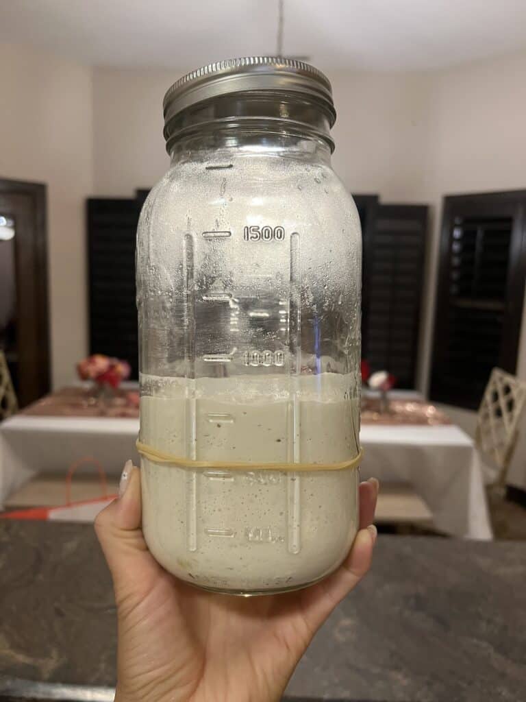 Easy Brown Rice Gluten Free Sourdough Starter in a jar