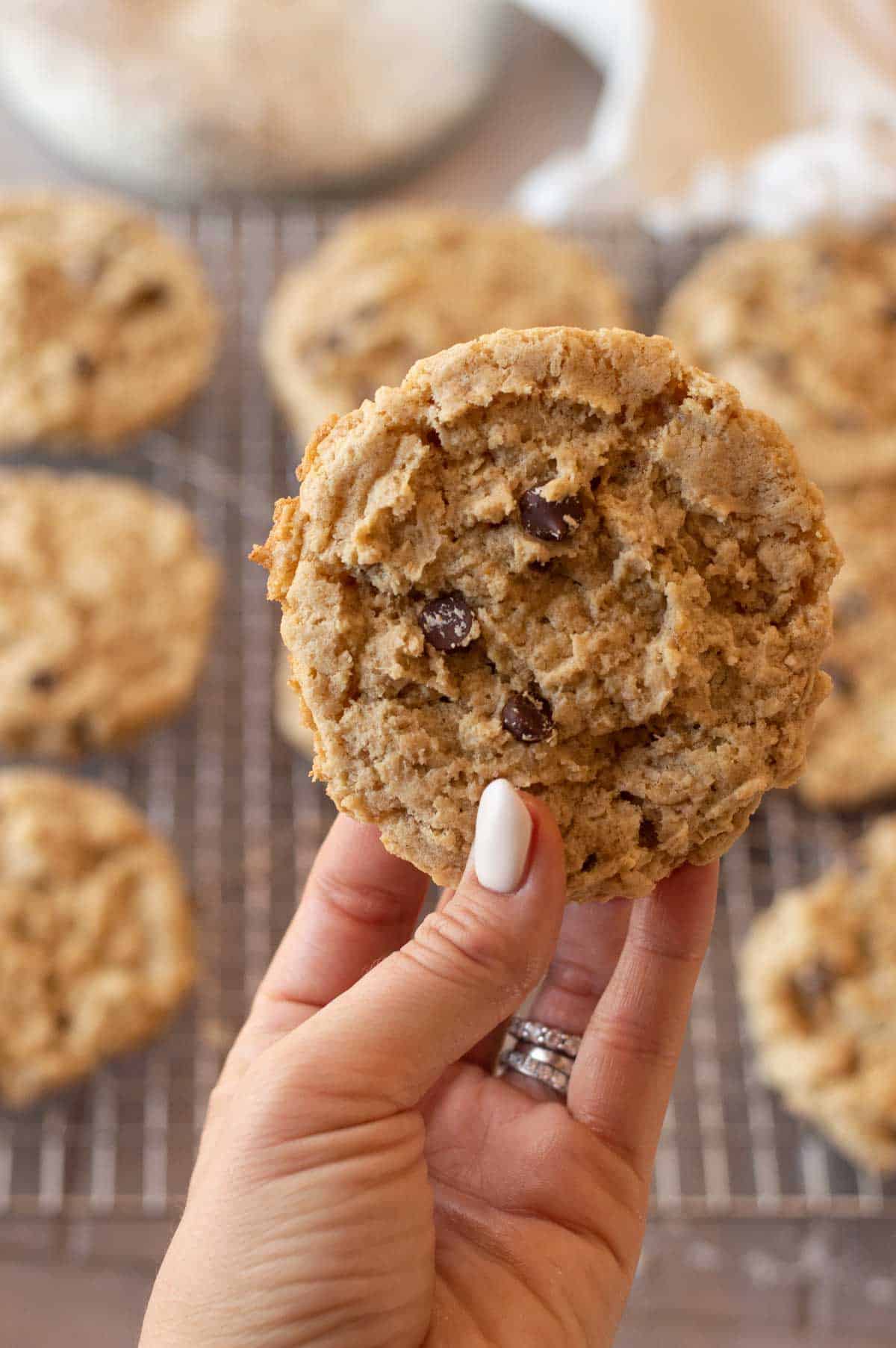 vegan oatmeal chocolate chip cookies in a hand