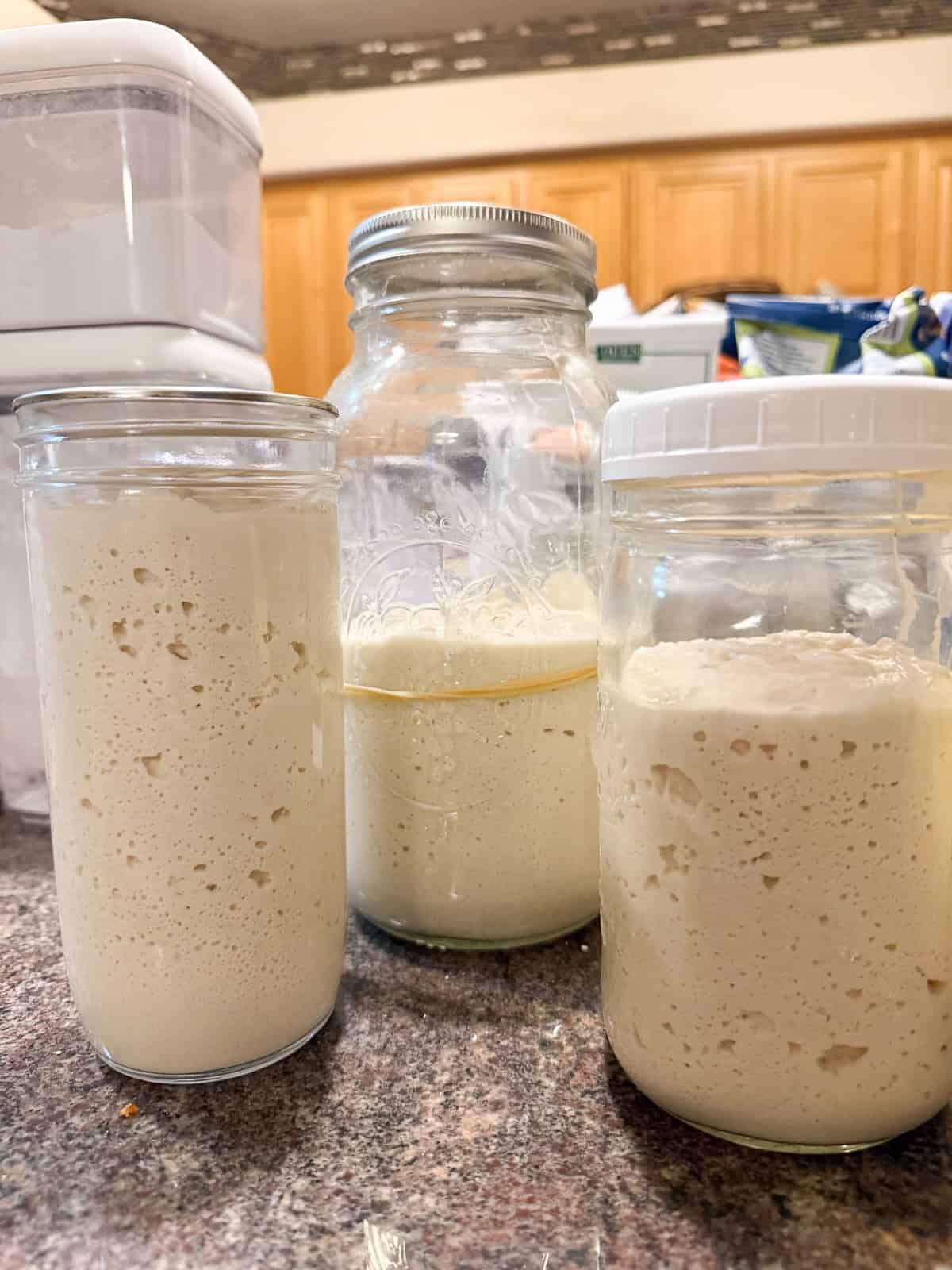 gluten free sourdough starters in a jar on a counter