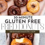 Gluten Free Donuts (Fried, Bakery Style) in a tray with chocolate frosting and sugared outsides pin