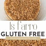 is farro gluten free pin